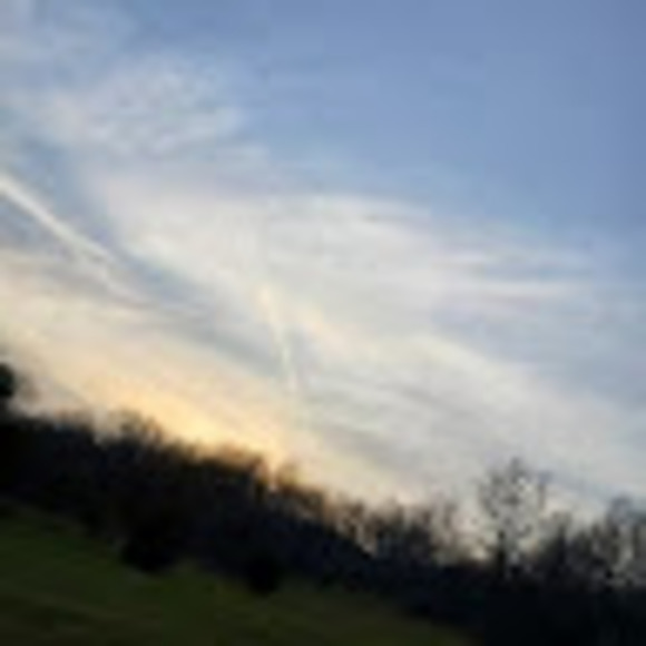 Meet your Posher, Nicole - Picture 1 of 1